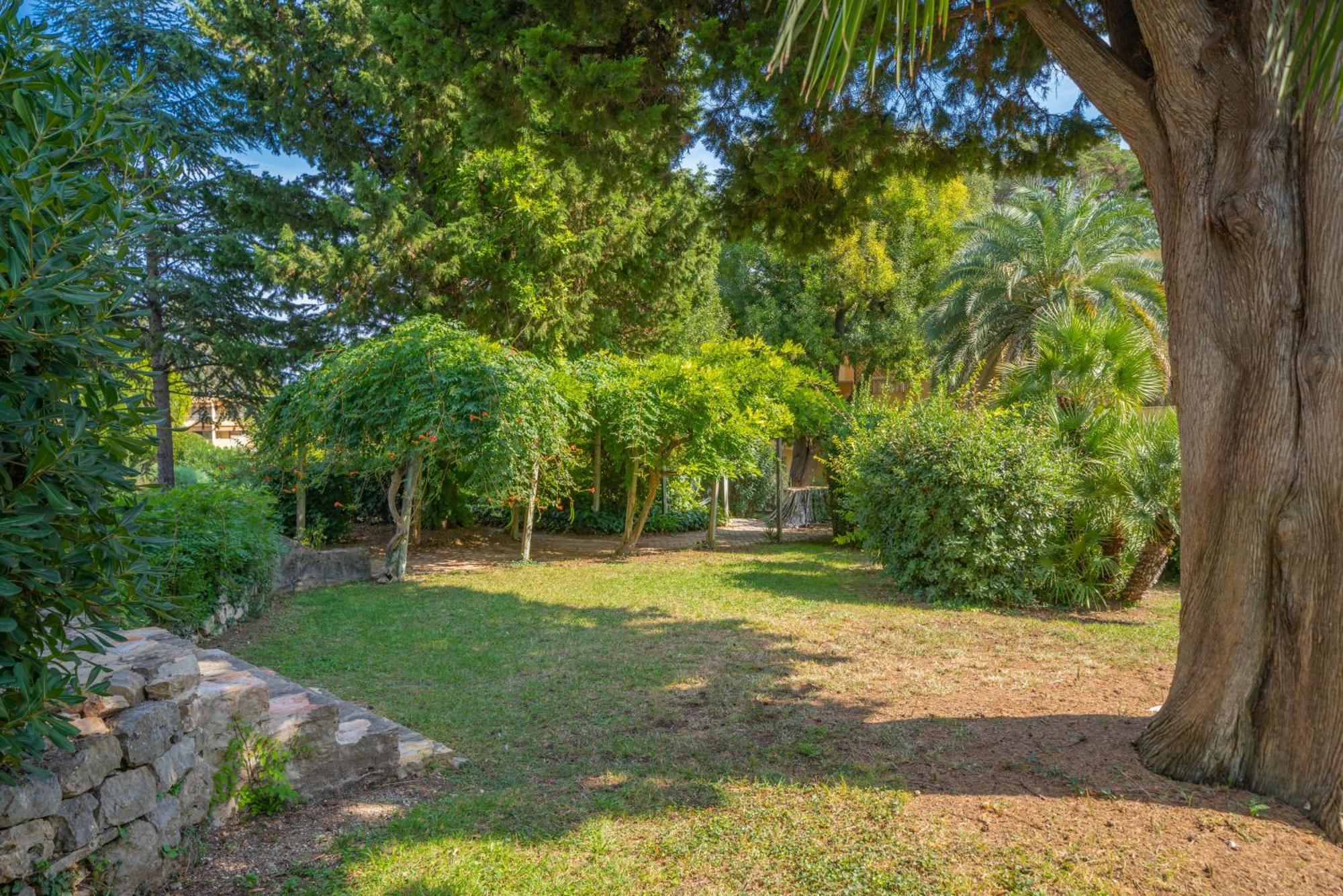 Les 15 Pins & La Mer -Your Green Getaway Near Sea & Beach Αντίμπ Εξωτερικό φωτογραφία